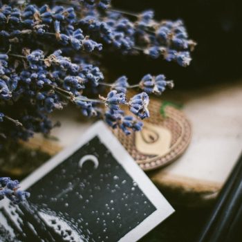 ceba77cd662d2ebe71759e3a73f6024e